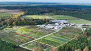 Planfor gère environ 10 000 hectares de forêt landaise pour des clients
